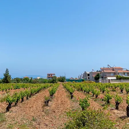 Doukas House Cottage With Vineyard, Artemis Exterior photo
