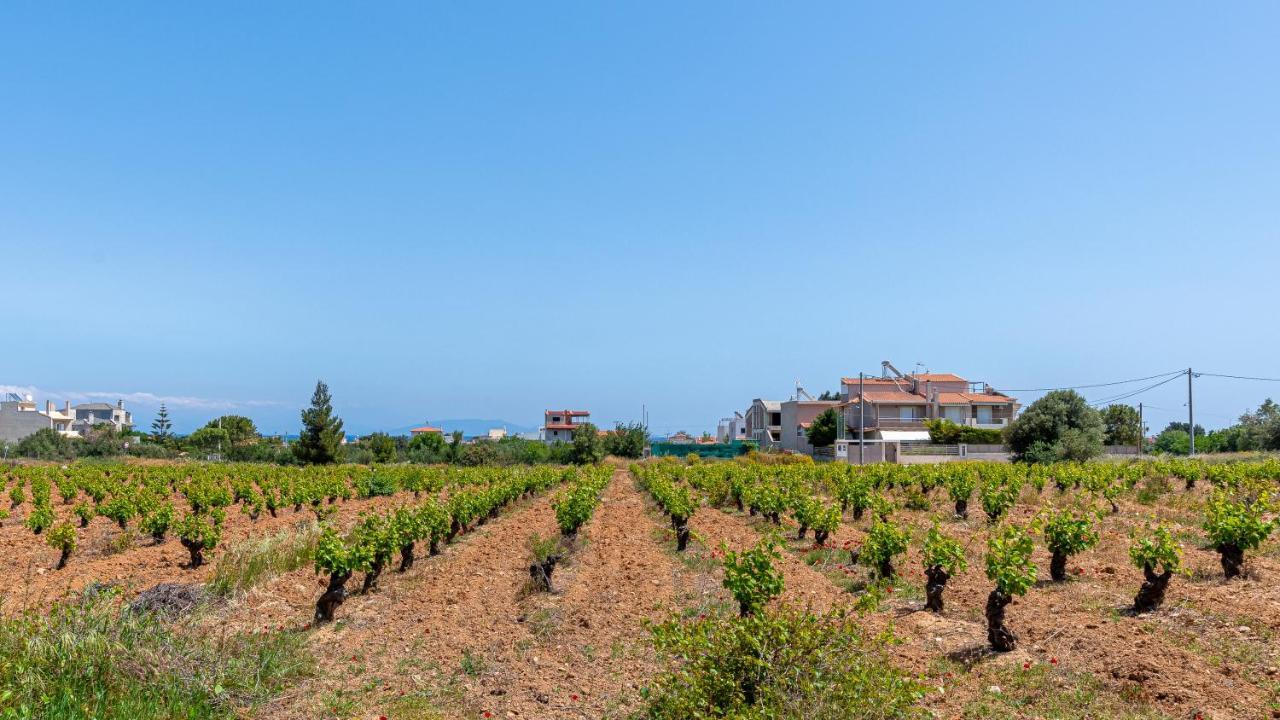 Doukas House With Vineyard, Artemis Apartament Artemida (Attica)